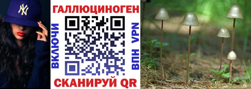 Галлюциногенные грибы прущие грибы  Купить  Зея 